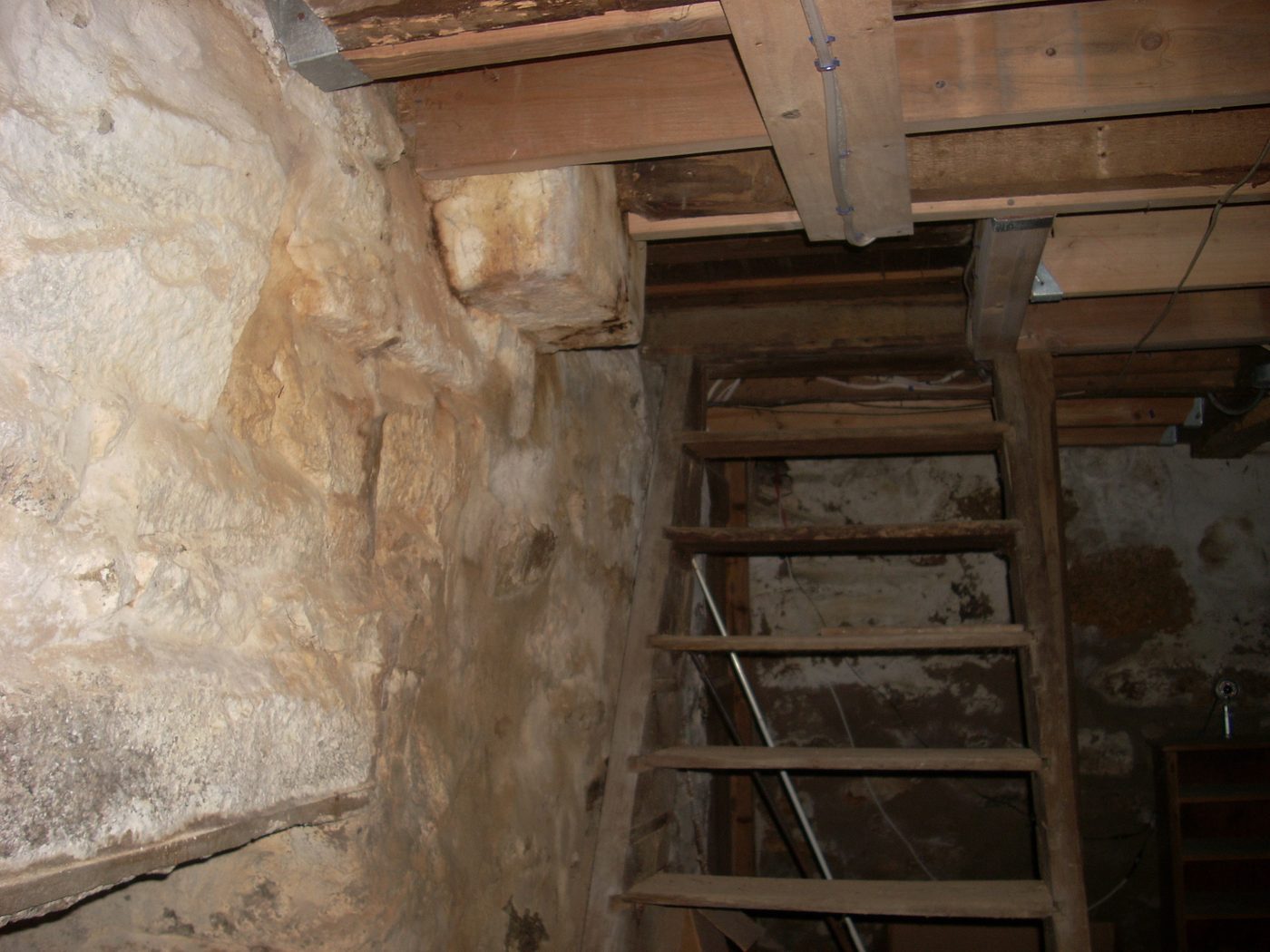 Historic cellar staircase inside the Paine House Museum